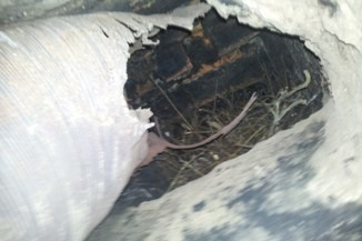 Acid corrosion of a steel chimney liner